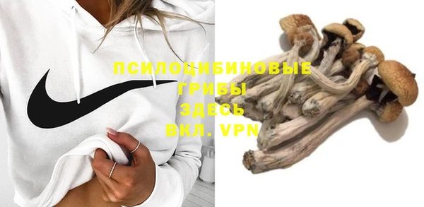 трава Гусев
