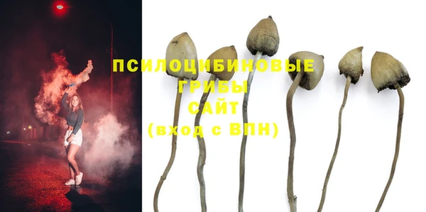 ECSTASY Гусиноозёрск