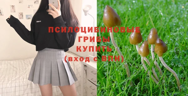 MDMA Гусь-Хрустальный