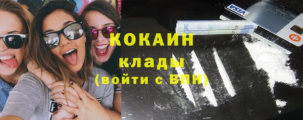 трава Гусев
