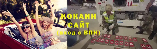 трава Гусев