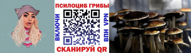 купить   Калтан  Псилоцибиновые грибы мухоморы 